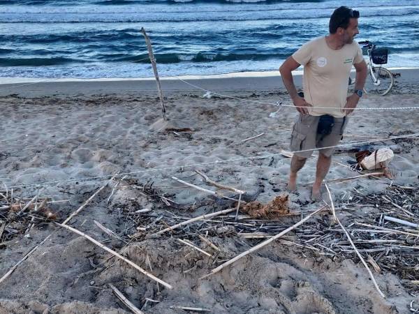 Ferragosto nella Riserva Borsacchio: monitoraggio e collaborazione per una corretta convivenza tra uomo e natura