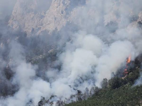 Morrone in fiamme, il presidente di Enbital, Provino: “Serve un'azione rigorosa preventiva”