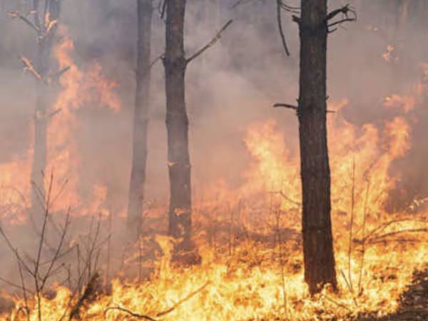 ABRUZZO: IL MORRONE IN FIAMME.