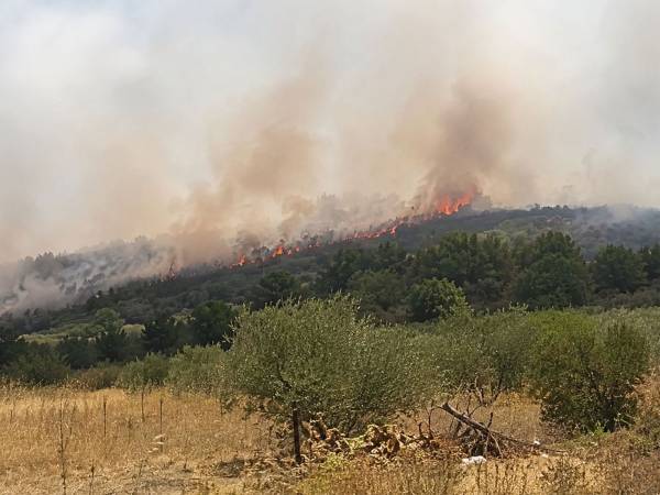 Incendi nel chietino e nel pescarese, CIA: "Vicini agli agricoltori colpiti"