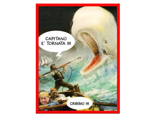 LA BALENA BIANCA È TORNATA