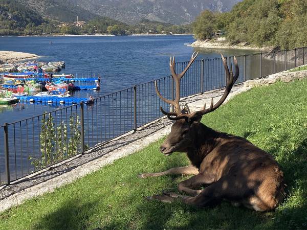 A VILLALAGO ANCHE GIORGETTO, DOPO AMARENA, HA IL SUO MURALE