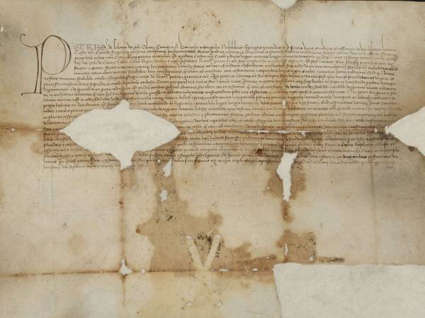 LE PERGAMENE E I MANOSRITTI DEL RINASCIMENTO COCULLESE