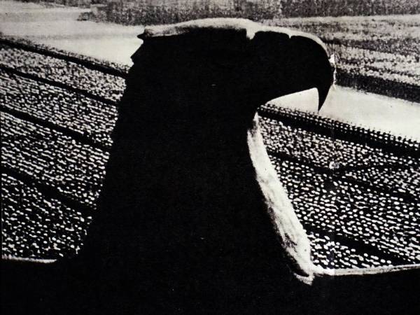 Fabio Mauri: "Gli anni dell’Aquila"