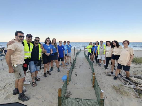 Nido tartaruga Marina nella Riserva Borsacchio: nate e protette tutte le tartarughe