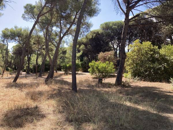 LA PINETA DANNUNZIANA DI PESCARA
