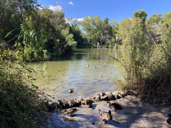 LA PINETA DANNUNZIANA DI PESCARA