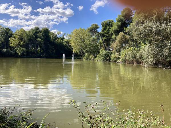 LA PINETA DANNUNZIANA DI PESCARA