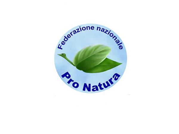 Nucleare, ci risiamo!